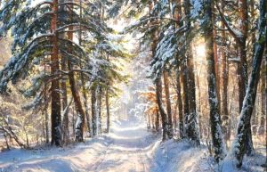 Чем хороши пейзажи зимы в живописи?