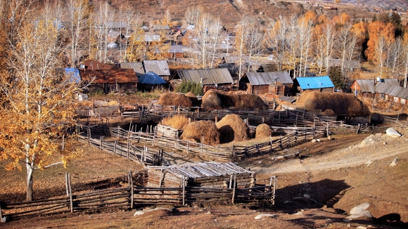Глава Алтайского края попросил у президента средства для строительства жилья на селе
