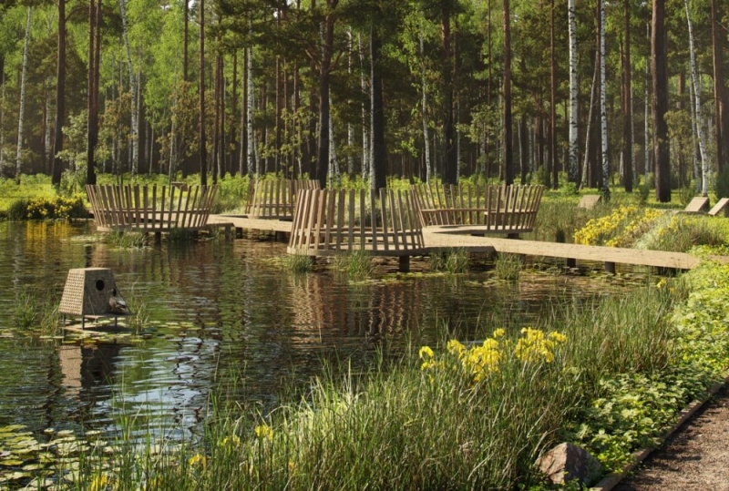 В Люберцах в 2023 году благоустроят Томилинский лесопарк