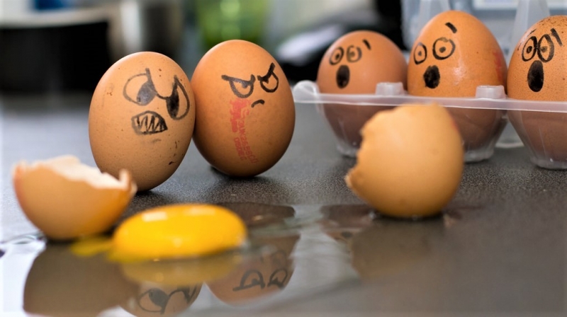 Спор выеденного яйца стоит