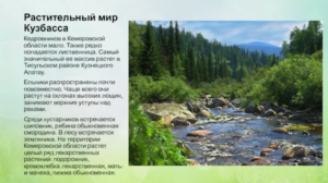 Информация на сайте закемерово.рф: все, что нужно знать